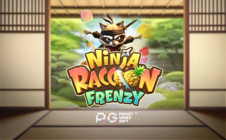 Ninja Raccoon Frenzy